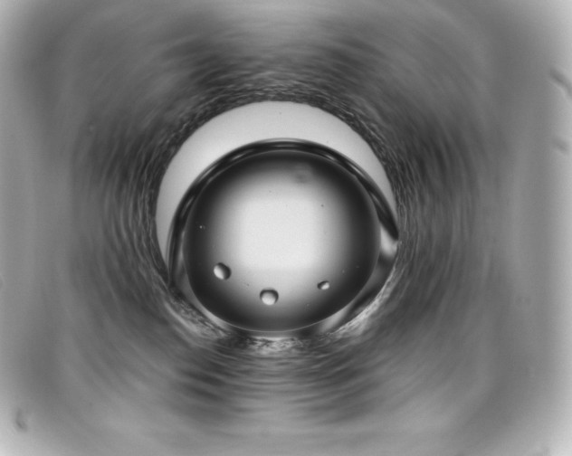 X0000099480186200805091616