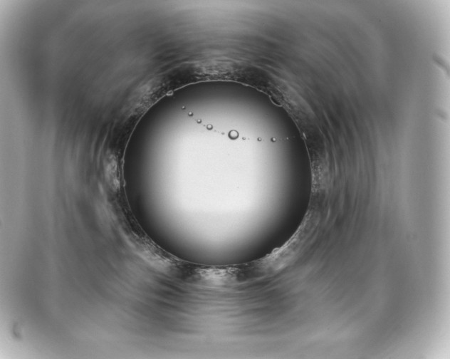 X0000099480187200805091616