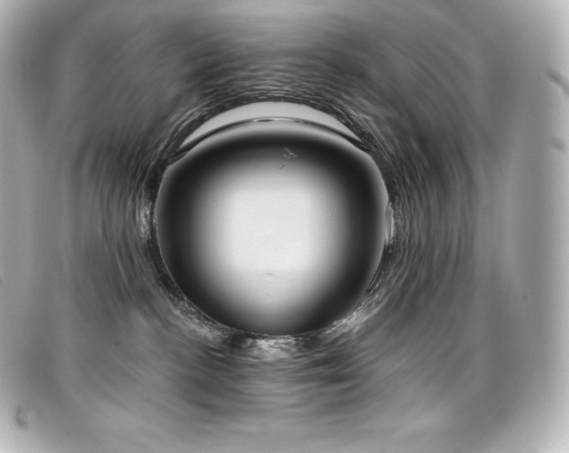 X0000099480188200805091616