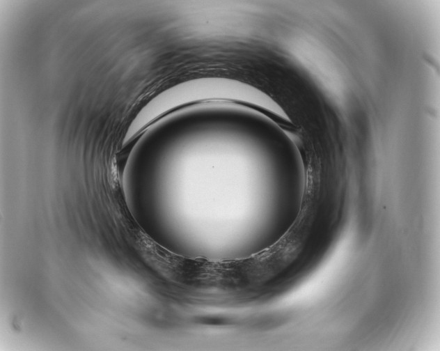 X0000099480190200805091616