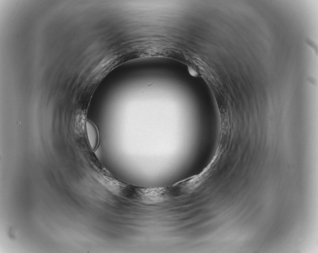 X0000099480191200805091616