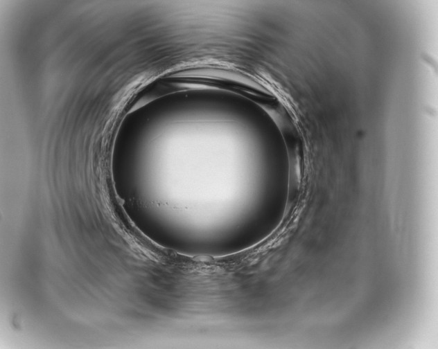 X0000099480193200805091616