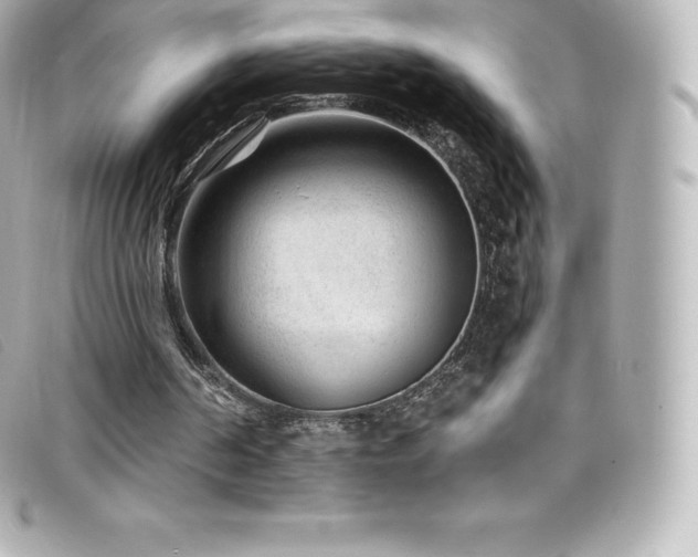 X0000099480194200805091616