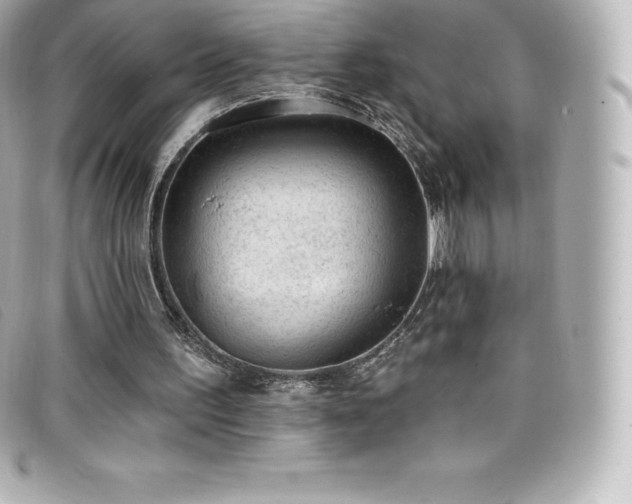 X0000099480195200805091616