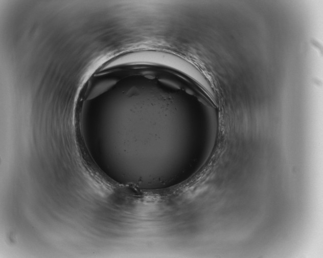 X0000099480196200805091616