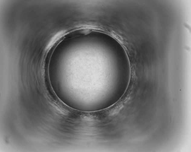 X0000099480199200805091616