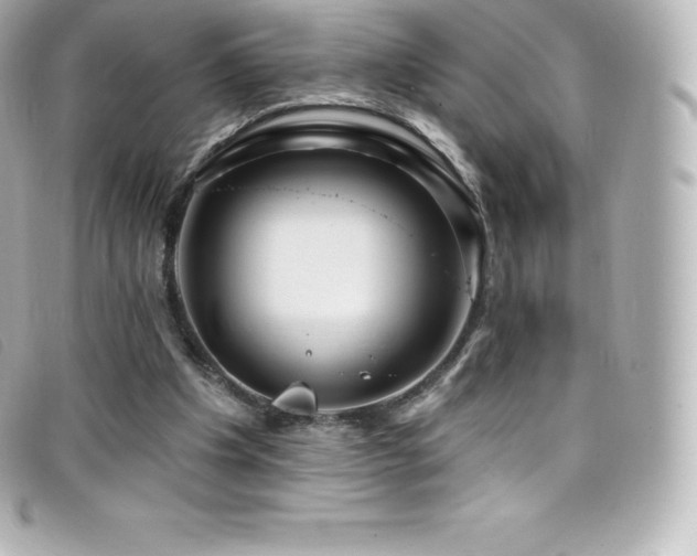 X0000099480201200805091616