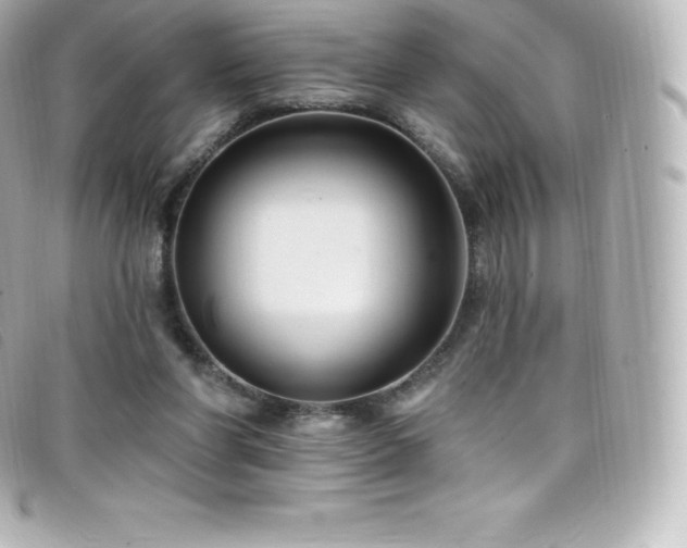 X0000099480206200805091616