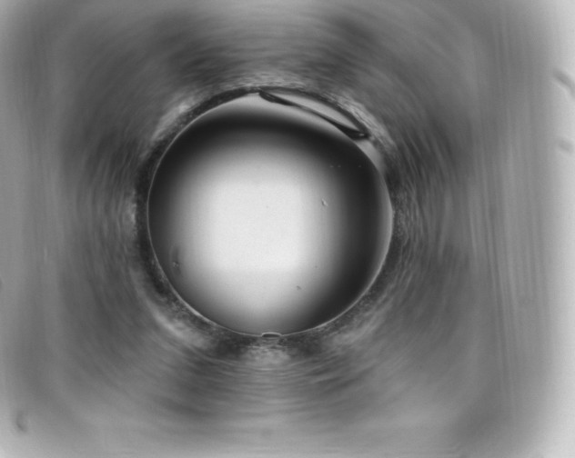 X0000099480207200805091616