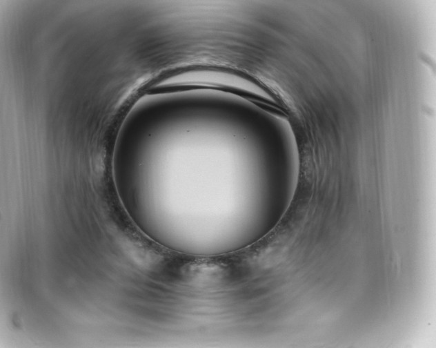 X0000099480208200805091616