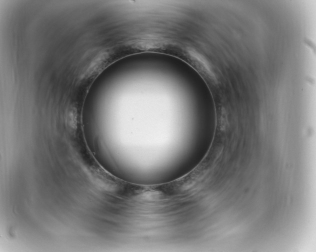 X0000099480210200805091615
