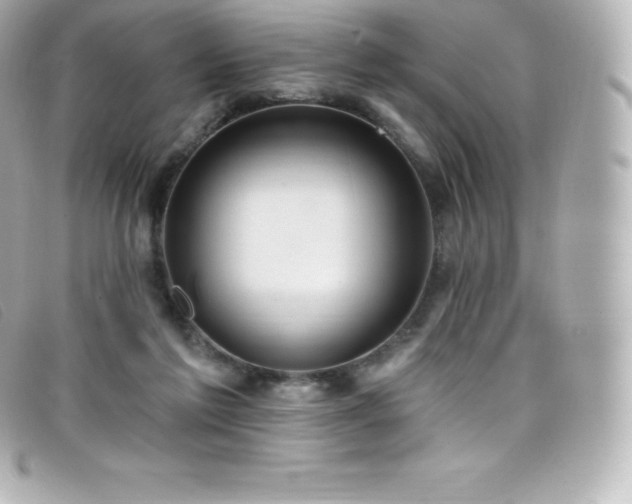 X0000099480213200805091615