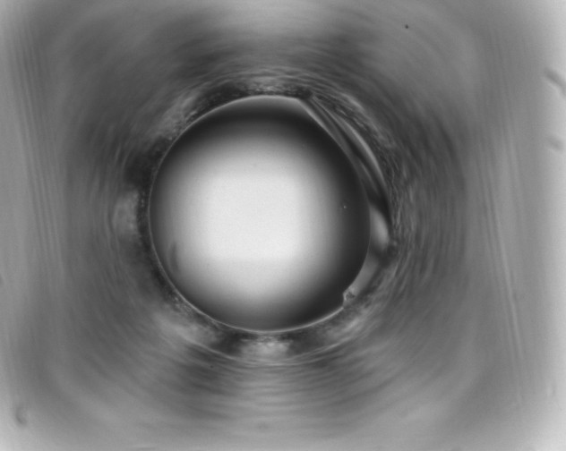 X0000099480217200805091615