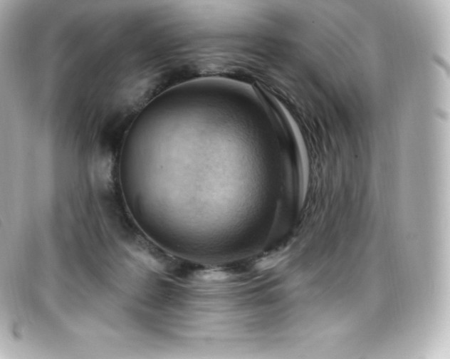X0000099480219200805091615