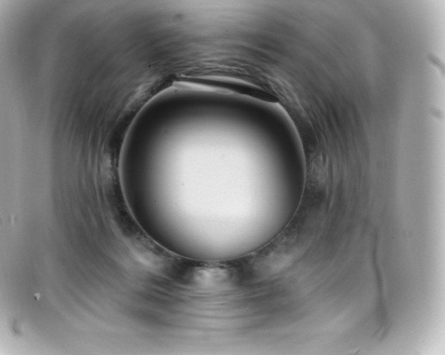 X0000099480220200805091615