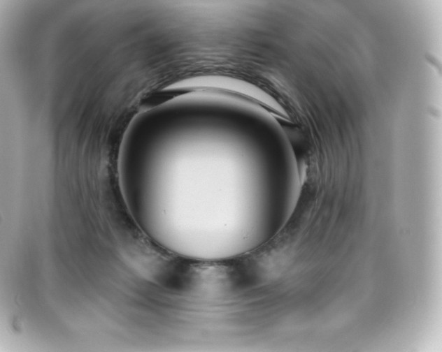 X0000099480221200805091615