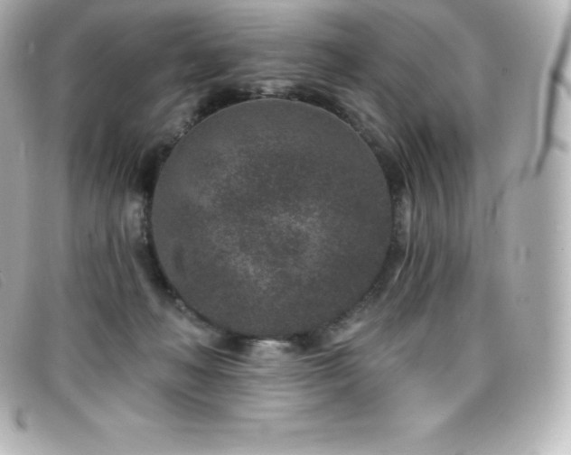 X0000099480222200805091615