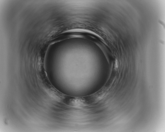 X0000099480223200805091615