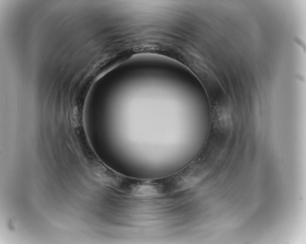 X0000099480224200805091615