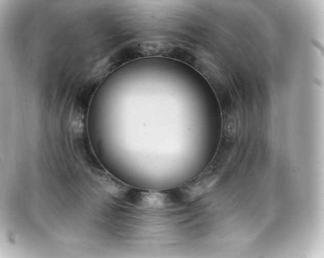X0000099480226200805091615