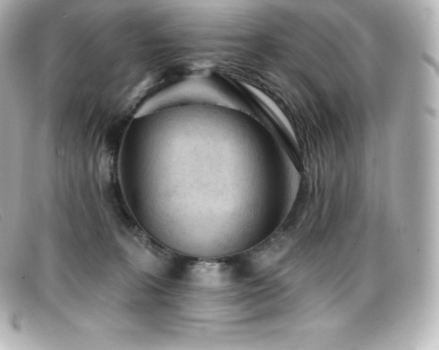 X0000099480227200805091615