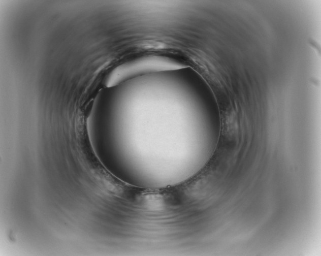 X0000099480228200805091615