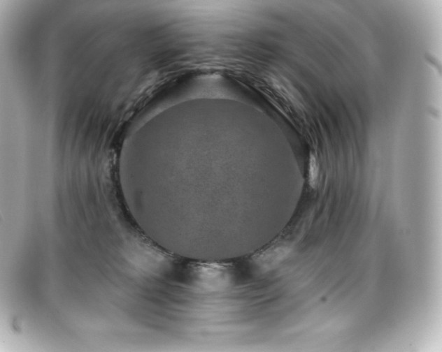 X0000099480229200805091615