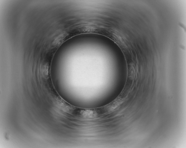 X0000099480230200805091615