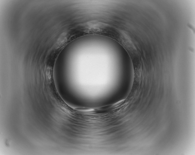 X0000099480232200805091615