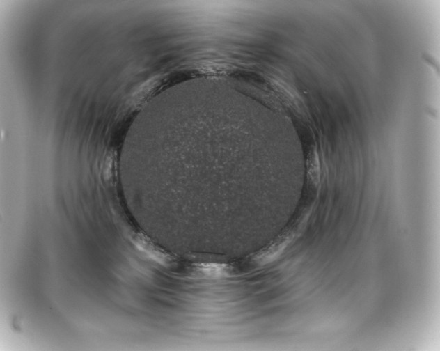 X0000099480233200805091615