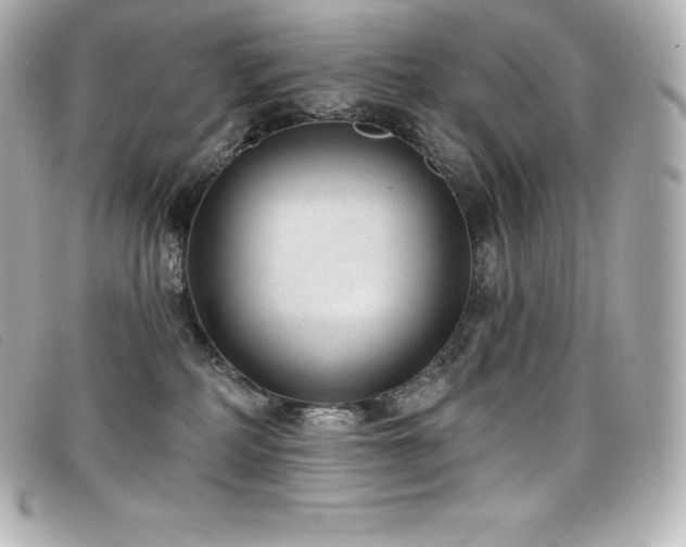 X0000099480234200805091615