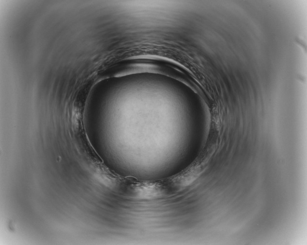 X0000099480235200805091615