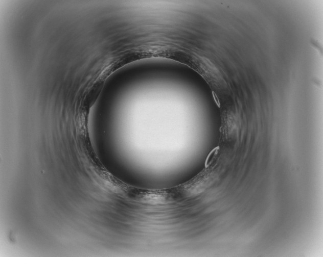 X0000099480236200805091615