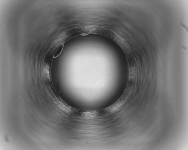 X0000099480238200805091615