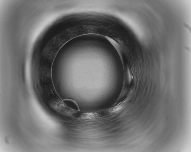 X0000099480239200805091615