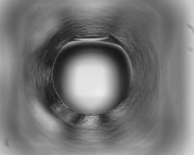 X0000099480240200805091615