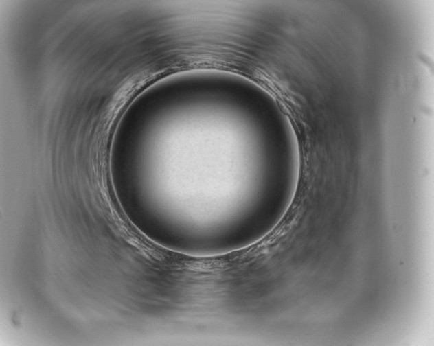 X0000099480241200805091614