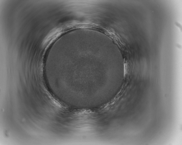 X0000099480243200805091614