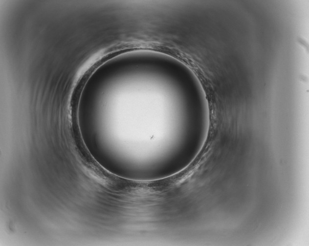 X0000099480246200805091614