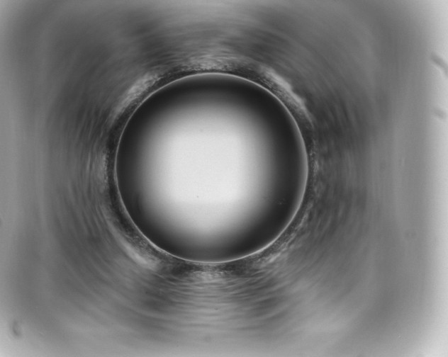 X0000099480250200805091615