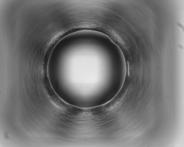 X0000099480252200805091615