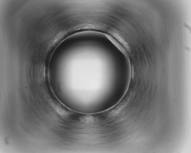 X0000099480253200805091615
