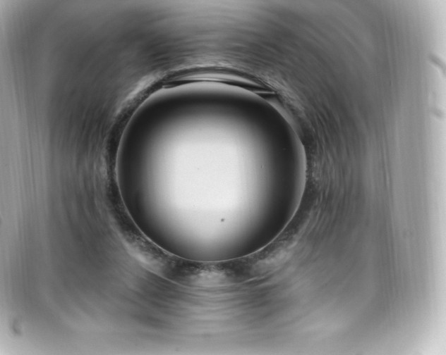 X0000099480256200805091615