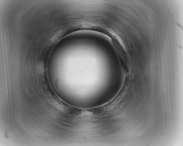 X0000099480257200805091615