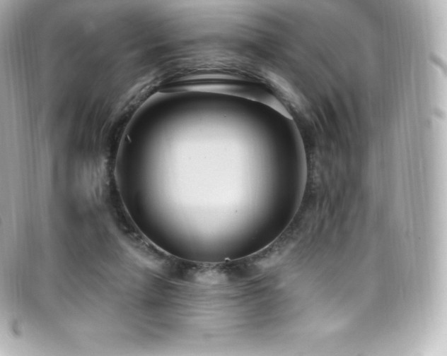 X0000099480258200805091615