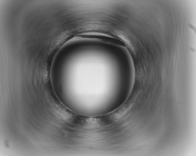 X0000099480261200805091615