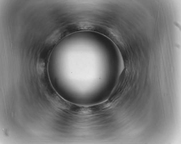 X0000099480263200805091615