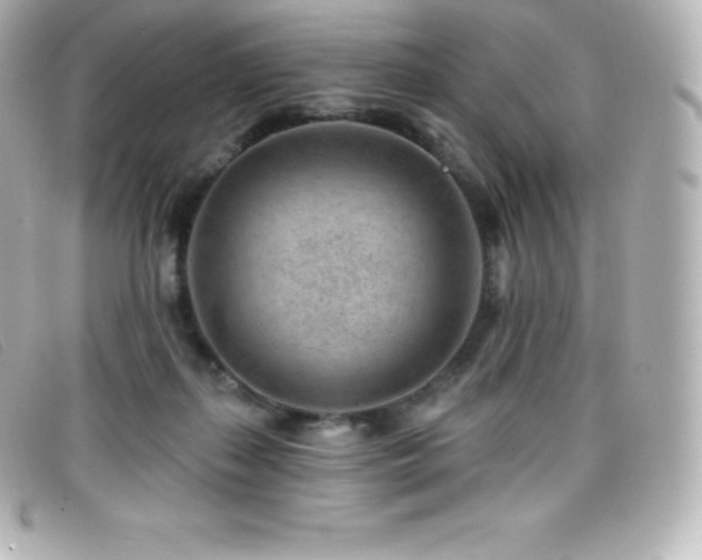 X0000099480267200805091615