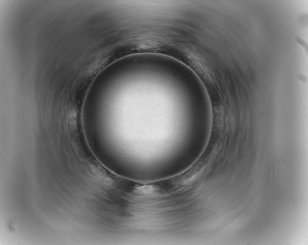 X0000099480269200805091615