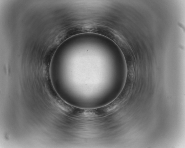 X0000099480270200805091615